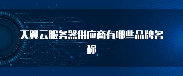 天翼云服务器供应商有哪些品牌名称