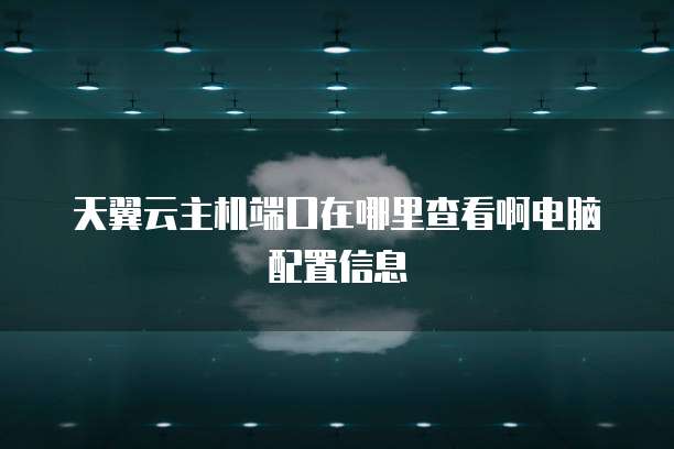 天翼云主机端口在哪里查看啊电脑配置信息