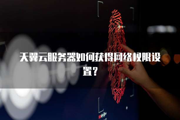 天翼云服务器如何获得网络权限设置？