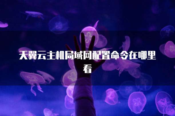 天翼云主机局域网配置命令在哪里看