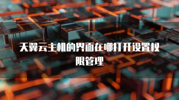 天翼云主机的界面在哪打开设置权限管理