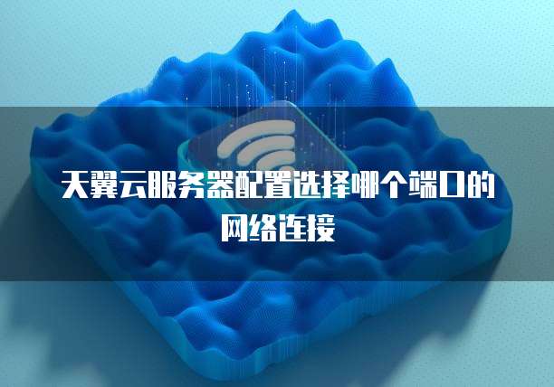 天翼云服务器配置选择哪个端口的网络连接
