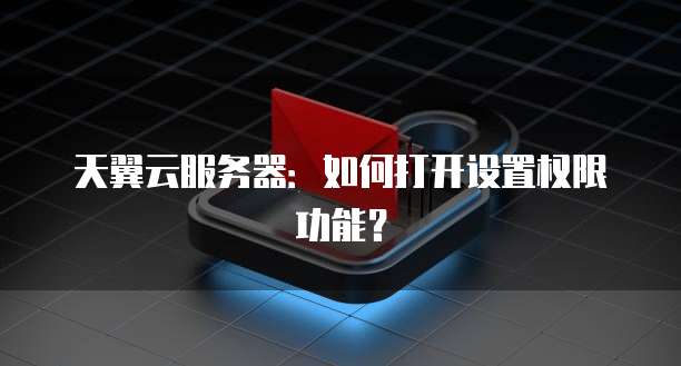 天翼云服务器：如何打开设置权限功能？