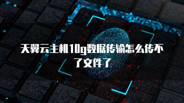 天翼云主机10g数据传输怎么传不了文件了