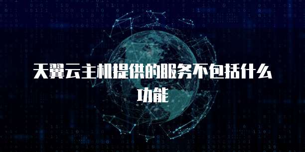 天翼云主机提供的服务不包括什么功能