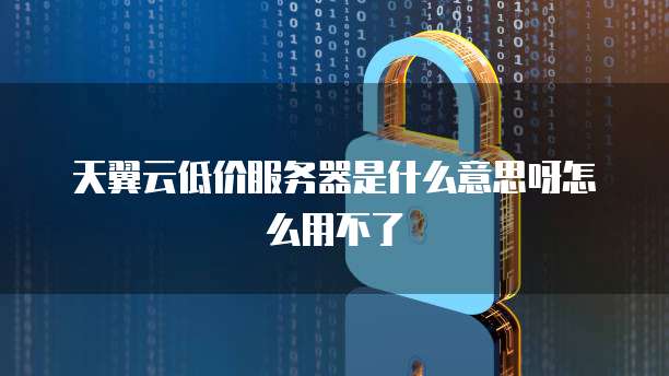 天翼云低价服务器是什么意思呀怎么用不了