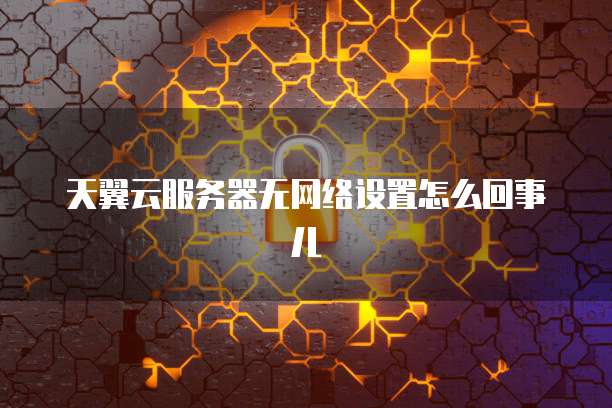 天翼云服务器无网络设置怎么回事儿