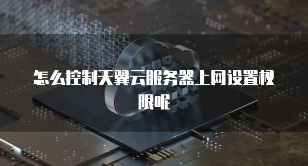怎么控制天翼云服务器上网设置权限呢