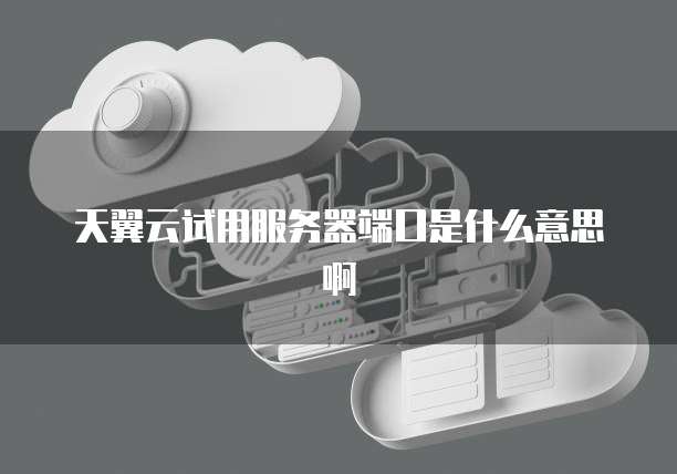 天翼云试用服务器端口是什么意思啊