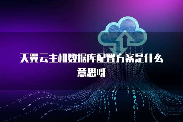 天翼云主机数据库配置方案是什么意思呀