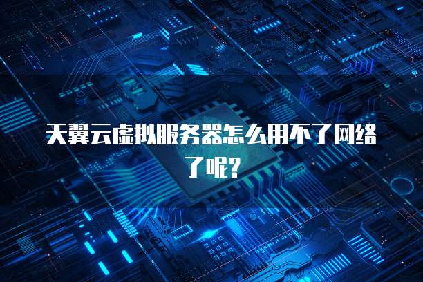 天翼云虚拟服务器怎么用不了网络了呢？