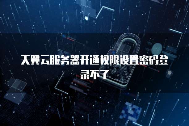 天翼云服务器开通权限设置密码登录不了