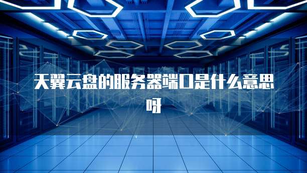 天翼云盘的服务器端口是什么意思呀