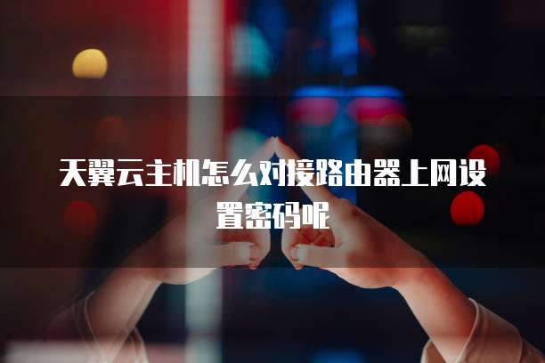 天翼云主机怎么对接路由器上网设置密码呢