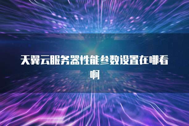 天翼云服务器性能参数设置在哪看啊