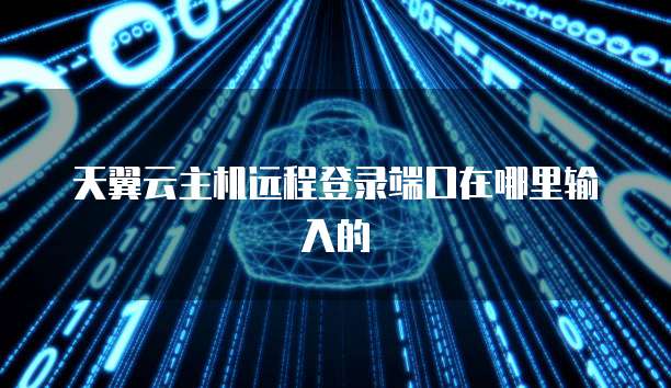 天翼云主机远程登录端口在哪里输入的