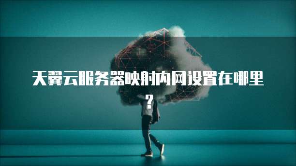 天翼云服务器映射内网设置在哪里？