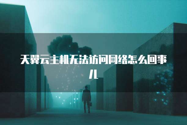天翼云主机无法访问网络怎么回事儿