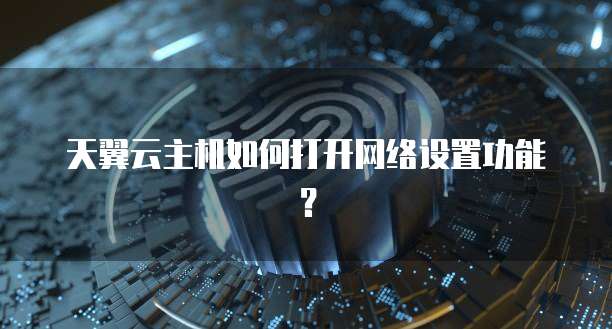 天翼云主机如何打开网络设置功能？