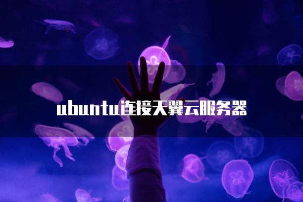 ubuntu连接天翼云服务器