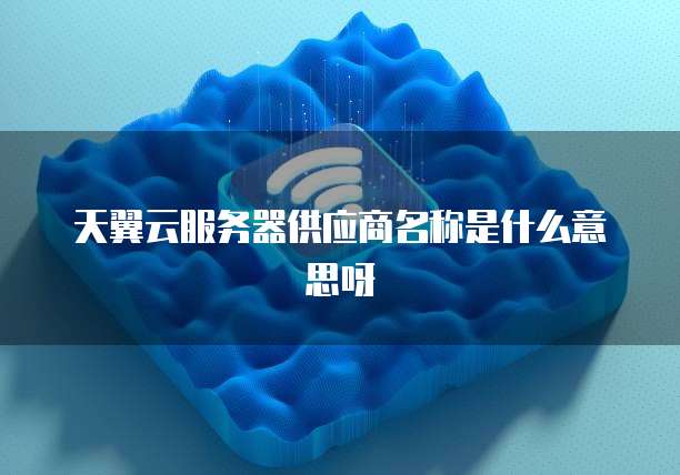 天翼云服务器供应商名称是什么意思呀