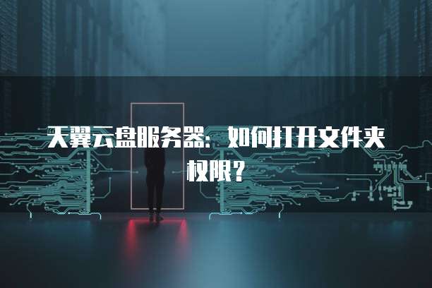 天翼云盘服务器：如何打开文件夹权限？