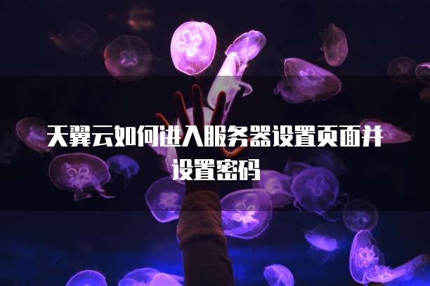 天翼云如何进入服务器设置页面并设置密码