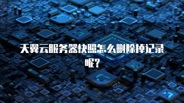 天翼云服务器快照怎么删除掉记录呢？