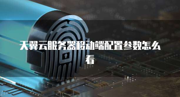 天翼云服务器移动端配置参数怎么看