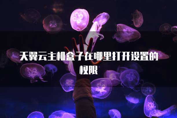 天翼云主机盒子在哪里打开设置的权限