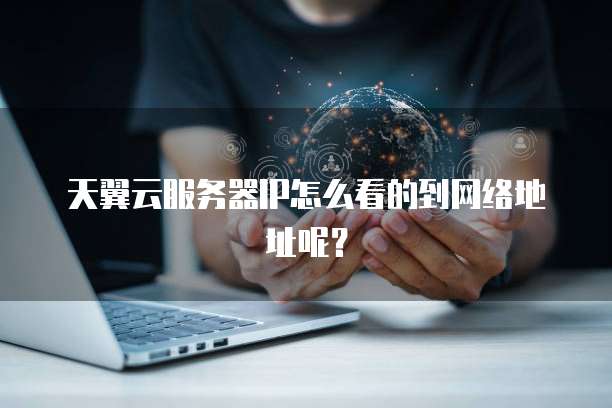 天翼云服务器IP怎么看的到网络地址呢？