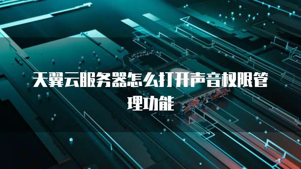 天翼云服务器怎么打开声音权限管理功能
