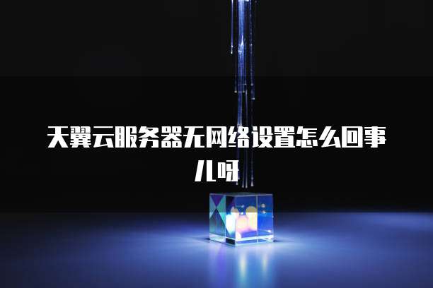天翼云服务器无网络设置怎么回事儿呀