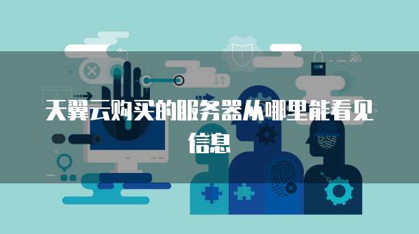 天翼云购买的服务器从哪里能看见信息