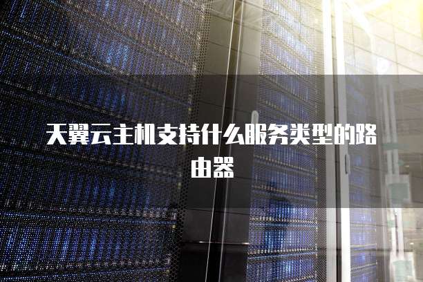 天翼云主机支持什么服务类型的路由器