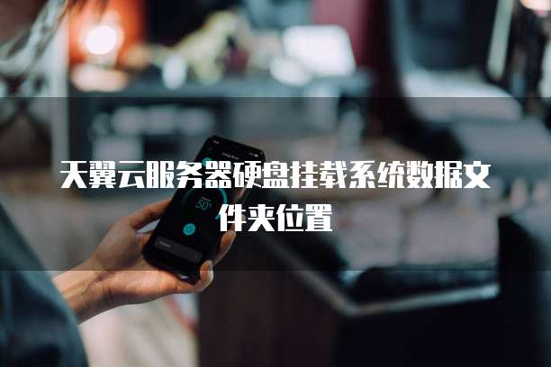 天翼云服务器硬盘挂载系统数据文件夹位置