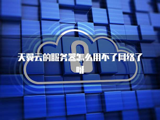 天翼云的服务器怎么用不了网络了呀